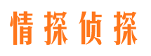 武宁市私家侦探